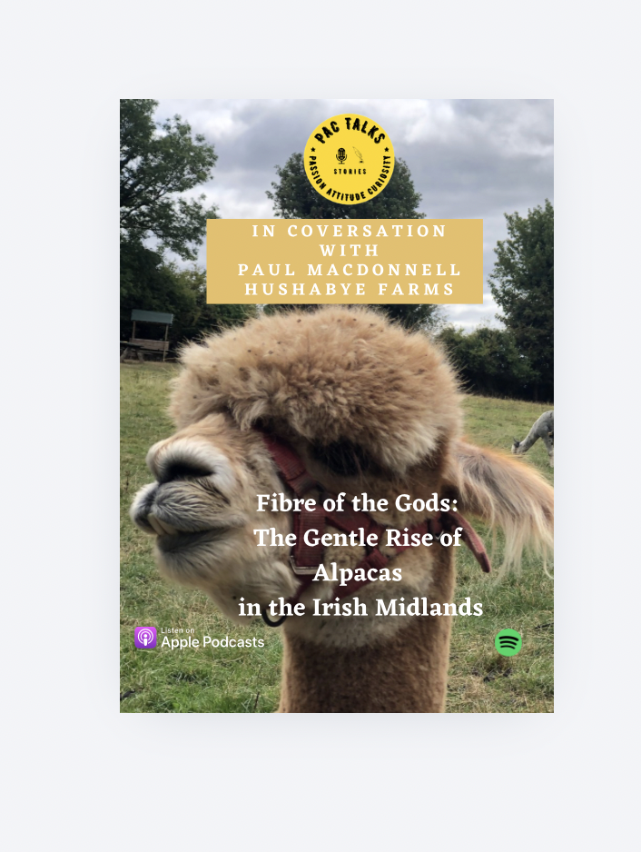At the Heart of the Midlands: Paul MacDonnell on Weaving a Legacy with the ‘Fibre of the Gods’ – A Sixteen-Year Alpaca Odyssey